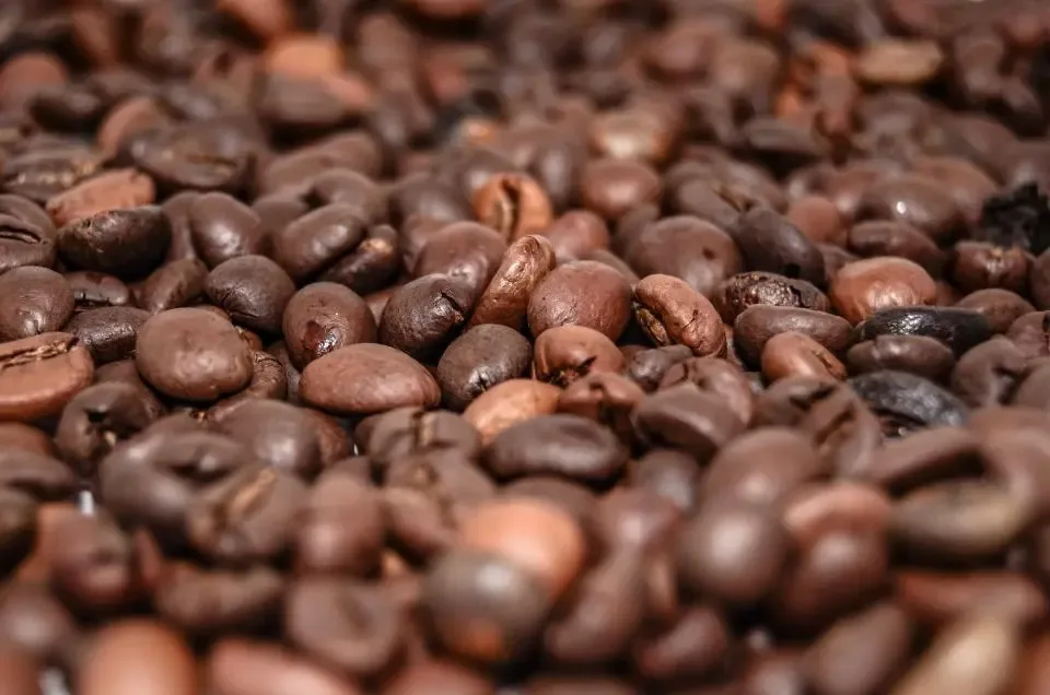Geröstete Kaffeebohnen dicht nebeneinander, in verschiedenen Brauntönen